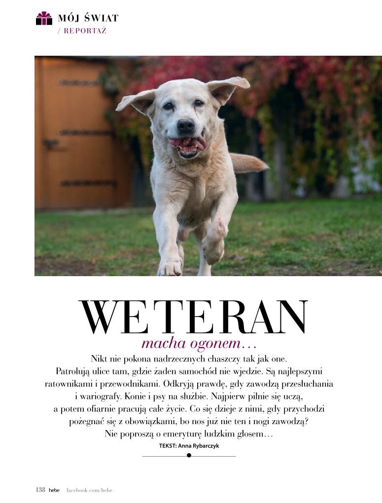 Gazetka promocyjna Hebe str. 138