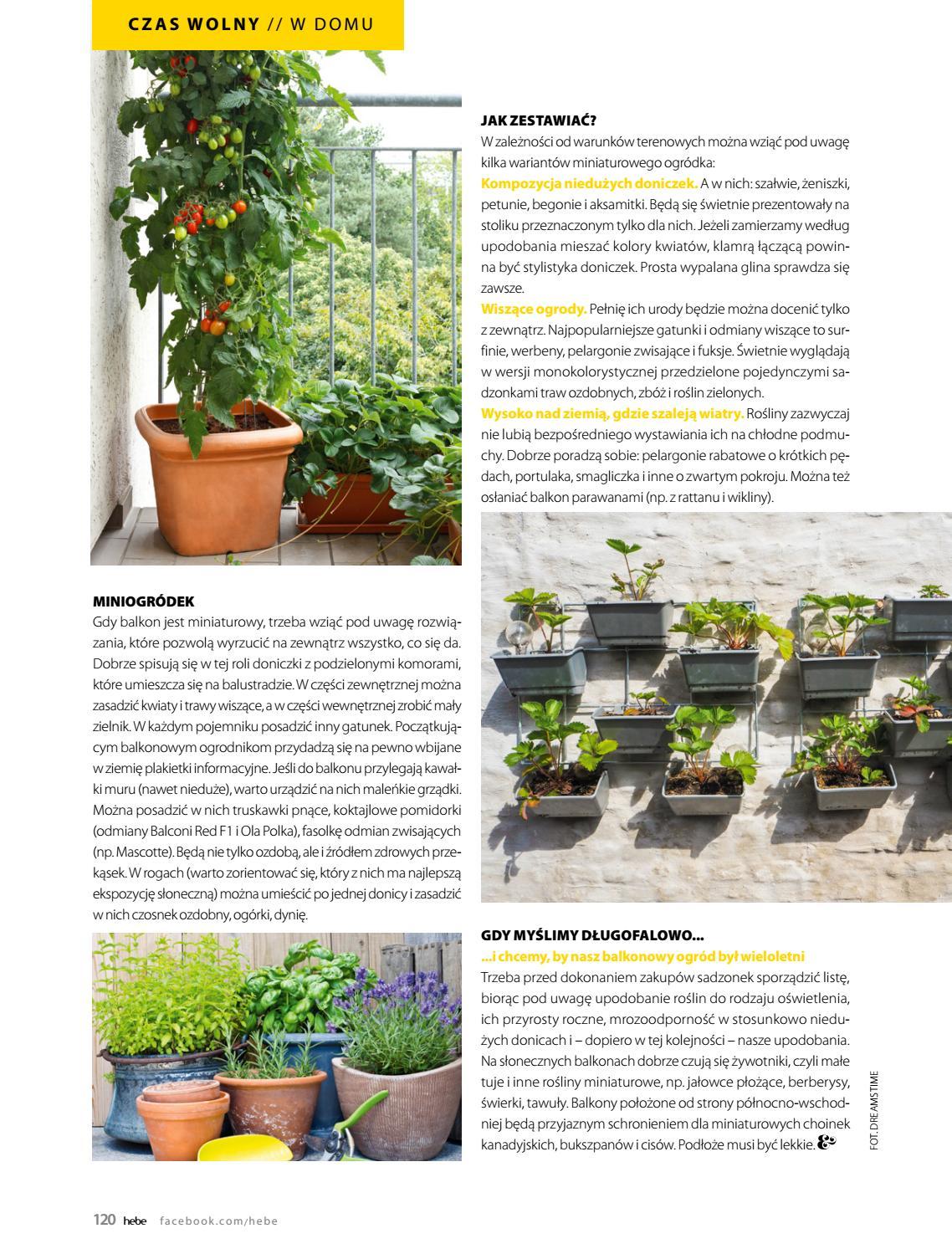Gazetka promocyjna Hebe str. 120