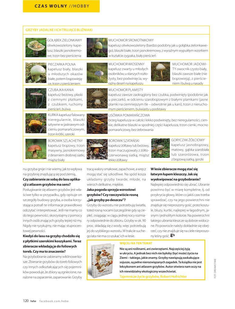 Gazetka promocyjna Hebe str. 120