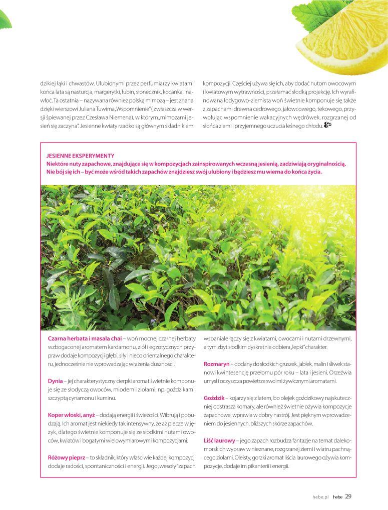 Gazetka promocyjna Hebe str. 29